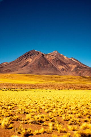 Arquivos ATACAMA - Rodrigo Sgarbi