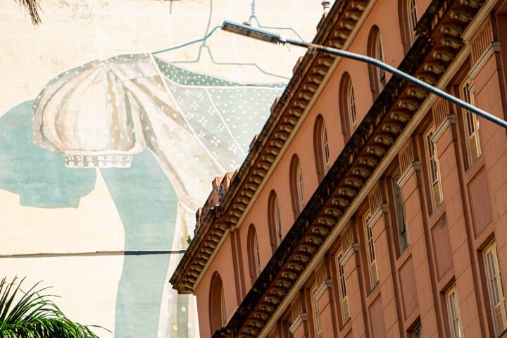 FOTO INTEGRANTE DE TRIPTICO IPÊ BRANCO EM BH