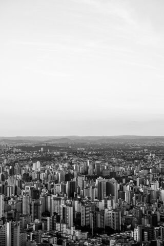 FOTO INTEGRANTE DE TRIPTICO IPÊ BRANCO EM BH
