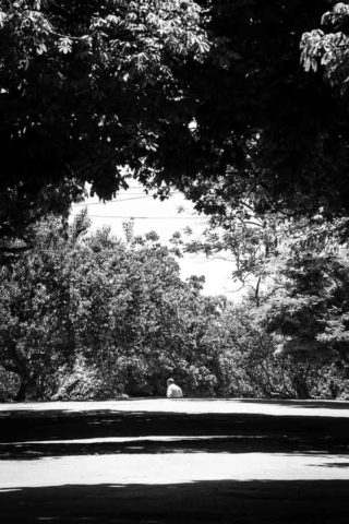 FOTOGRAFIAS SOBRE A CIDADE DE BELO HORIZONTE